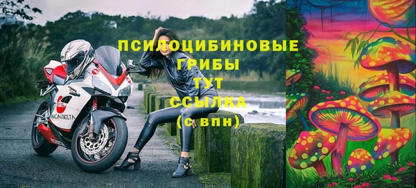 мет Каменногорск