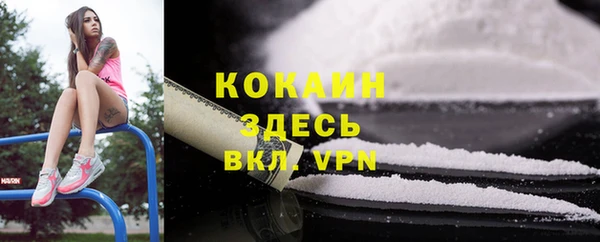 дживик Каменка