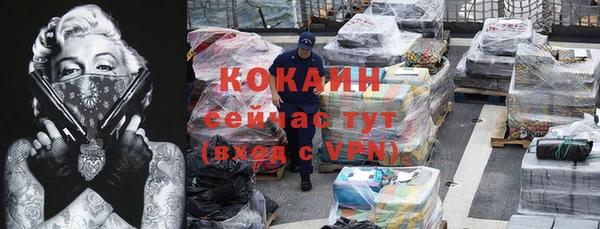 дживик Каменка