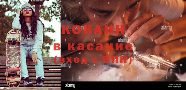 дживик Каменка