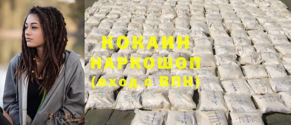 дживик Каменка