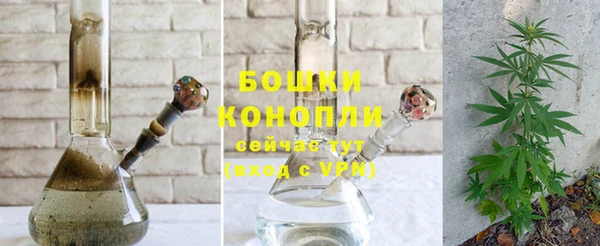 дживик Каменка