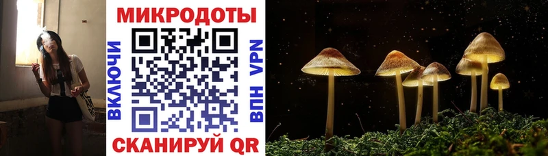 Купить  Игарка  Галлюциногенные грибы мухоморы 
